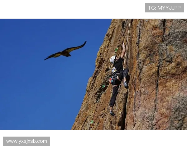 杭州攀岩队与广州攀岩队赛后复盘深入分析两队配合与战术表现